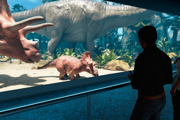 Hologram Zoo Darwin